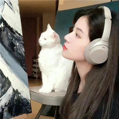 原声追凶